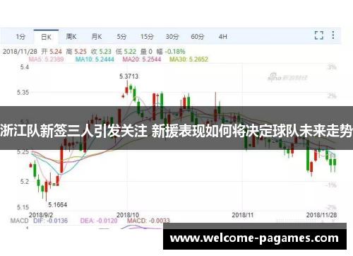 浙江队新签三人引发关注 新援表现如何将决定球队未来走势