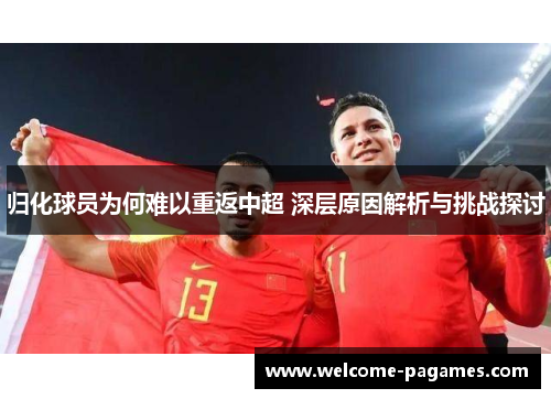 归化球员为何难以重返中超 深层原因解析与挑战探讨