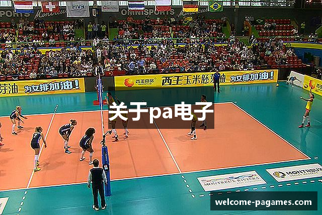 关于pa电子